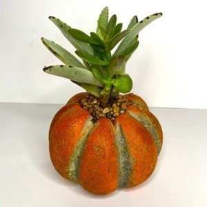 PUMPKIN - Handmade Home Decor